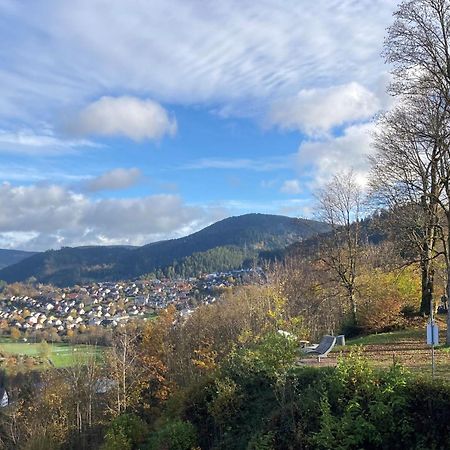 Ferienwohnung Das Nest Schiltach Bagian luar foto