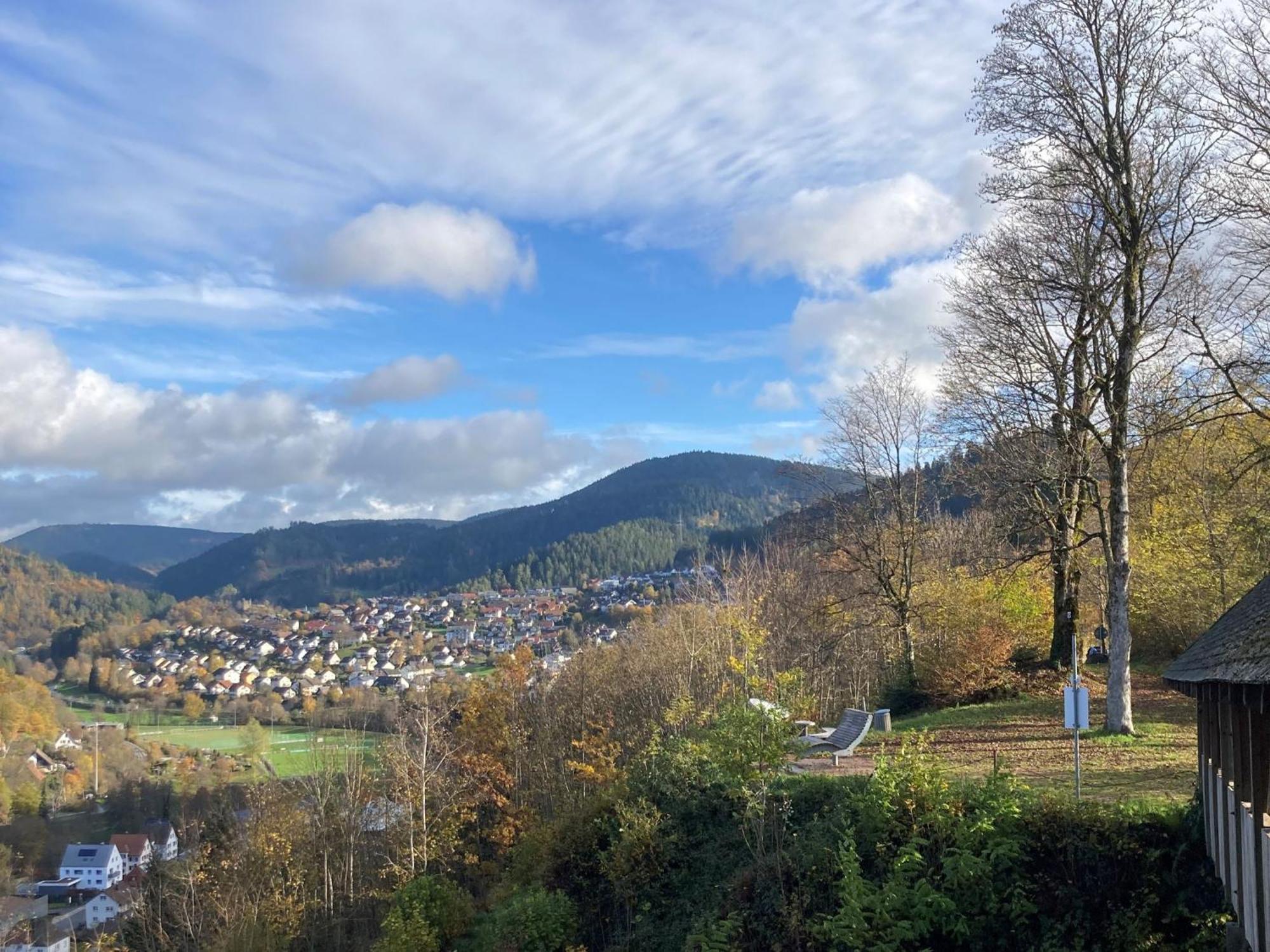 Ferienwohnung Das Nest Schiltach Bagian luar foto