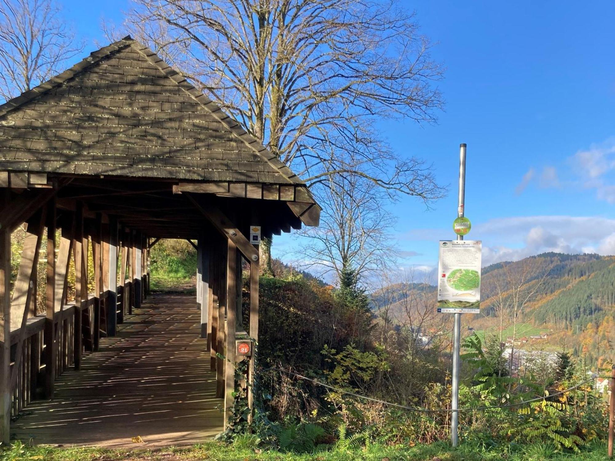 Ferienwohnung Das Nest Schiltach Bagian luar foto