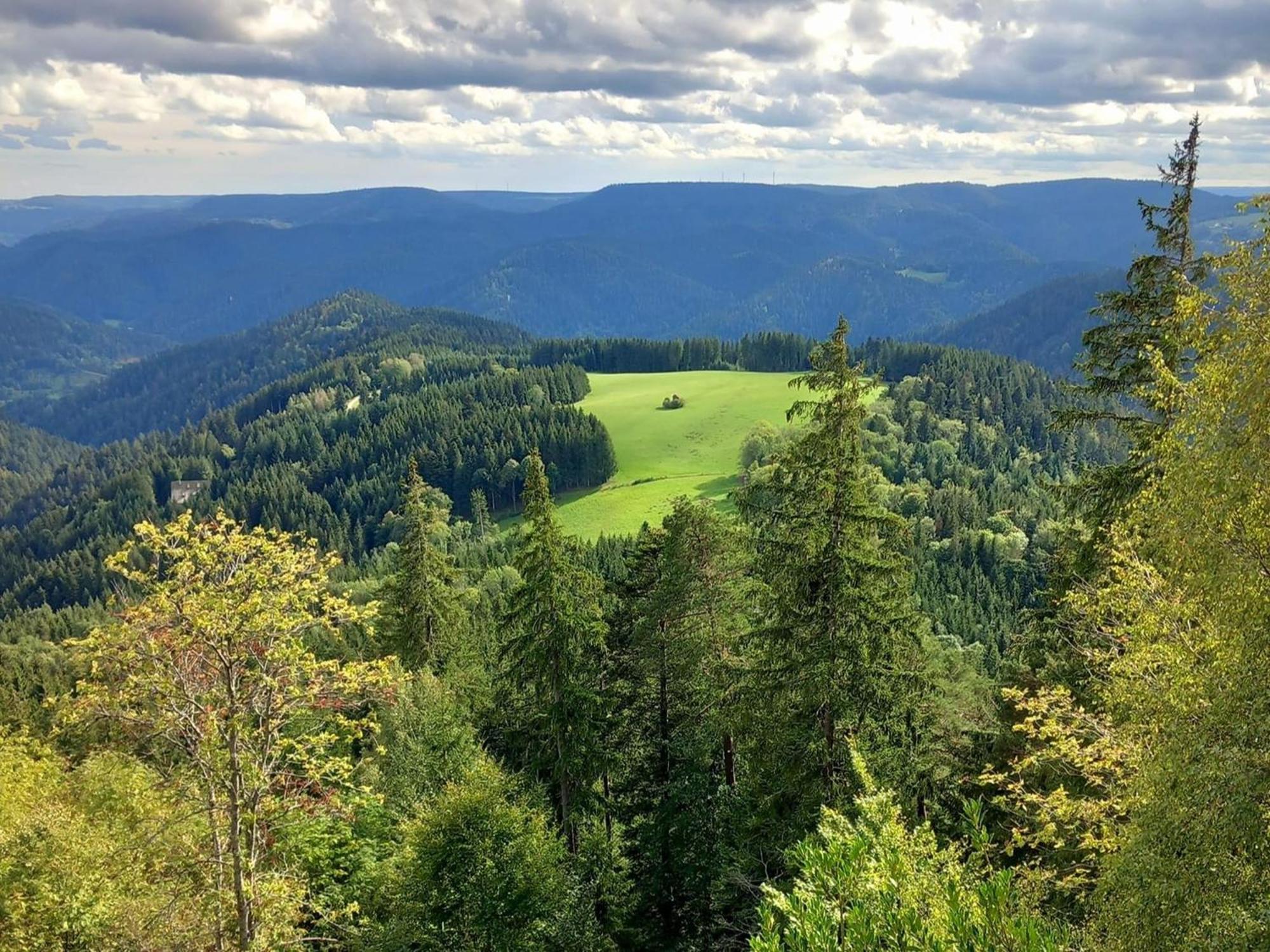 Ferienwohnung Das Nest Schiltach Bagian luar foto